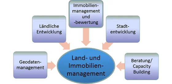 Sektion Land- und Immobilienmanagement innerhalb der DGK Sektion Land- und Immobilienmanagement innerhalb der DGK