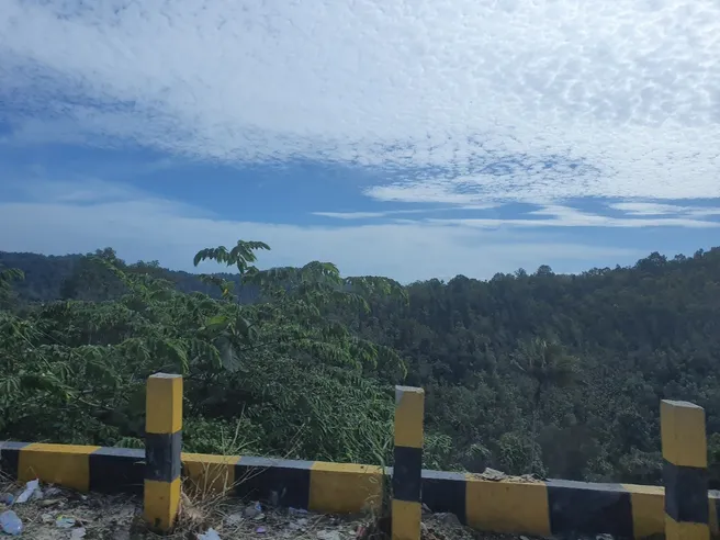 Allocated area for new capital of Indonesia Allocated area for new capital of Indonesia