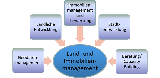Sektion Land- und Immobilienmanagement innerhalb der DGK